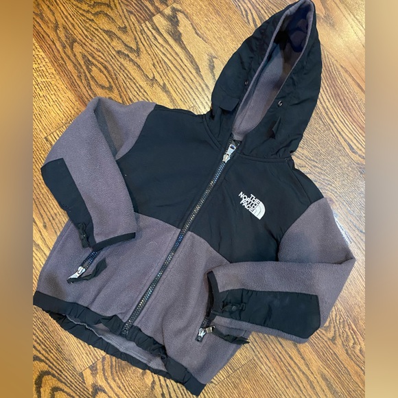 The North Face Other - Toddler North Face Hooded Denali Fleece